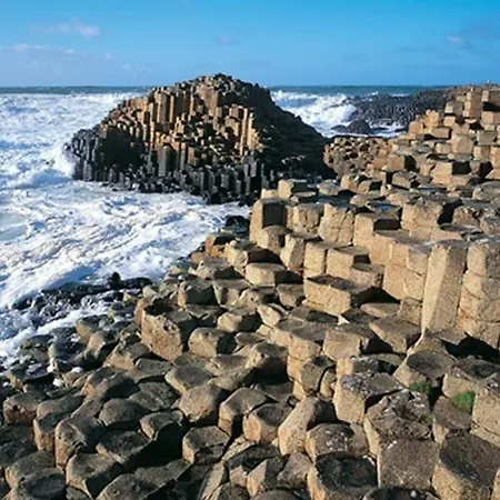 海港酒店 酒店 3*