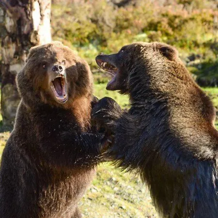 The Harbour Hotel Buncrana