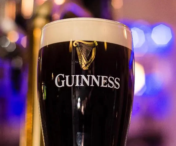 Hotel The Harbour 3*