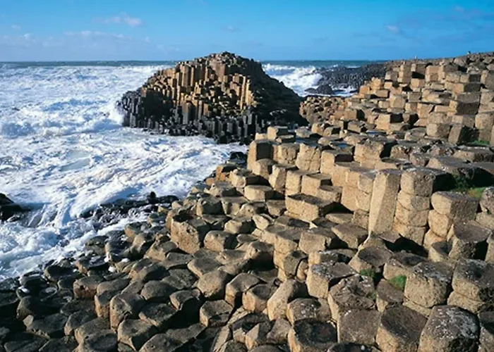 The Harbour Hotel 3*