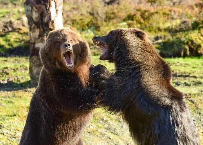 The Harbour Hotel Buncrana